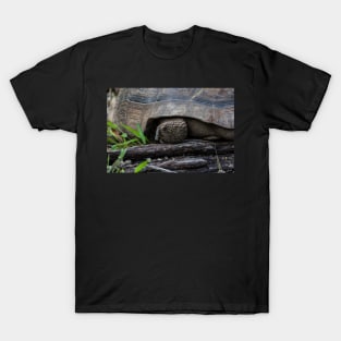 Galapagos Tortoise. T-Shirt